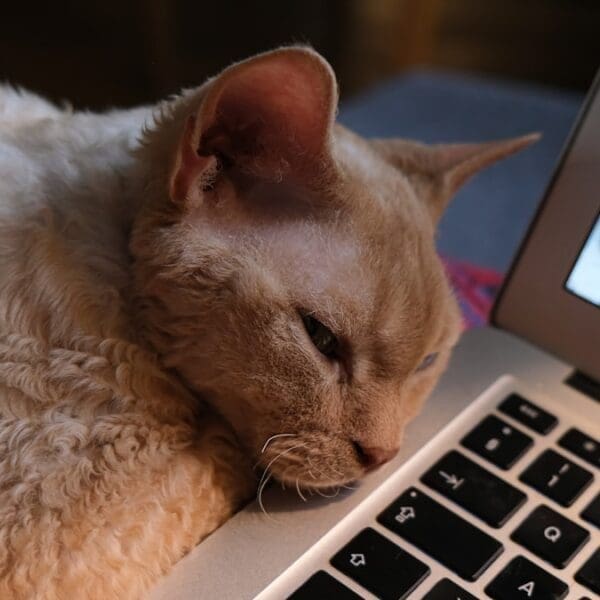 Uncovering the Secrets of Sleep: A Groundbreaking Study