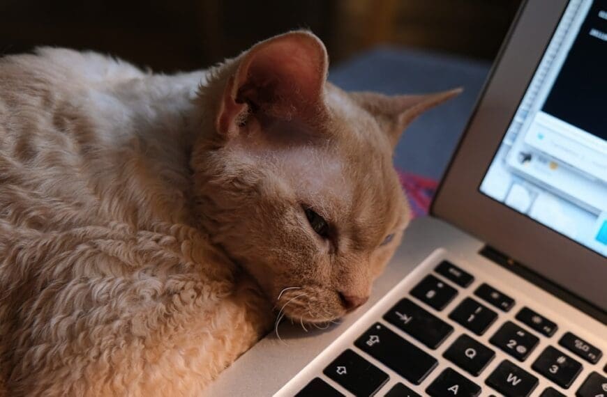 Uncovering the Secrets of Sleep: A Groundbreaking Study